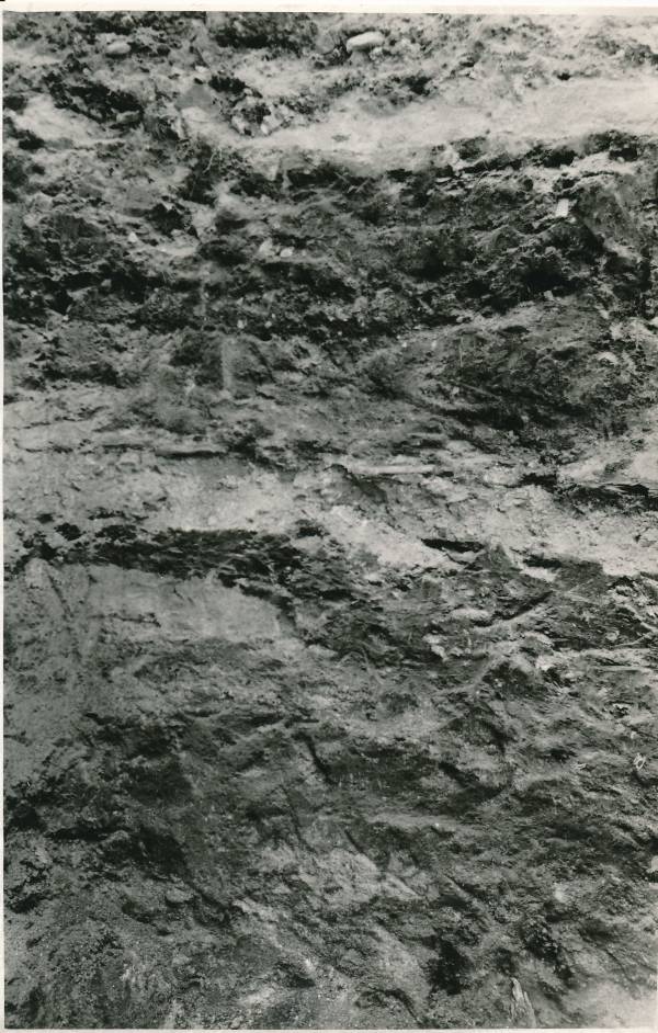 Arheoloogilised kaevamised Munga 8 (H. Abovjani 8) alal. Tartu, 1970.