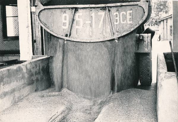 Tartu elevaator, autost vilja mahalaadimine. 1967