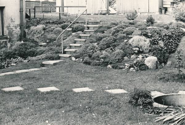 Tartu linnavaade. Kauneim aed Ülejõe linnaosas, Staadioni tn 29. 1971.a.