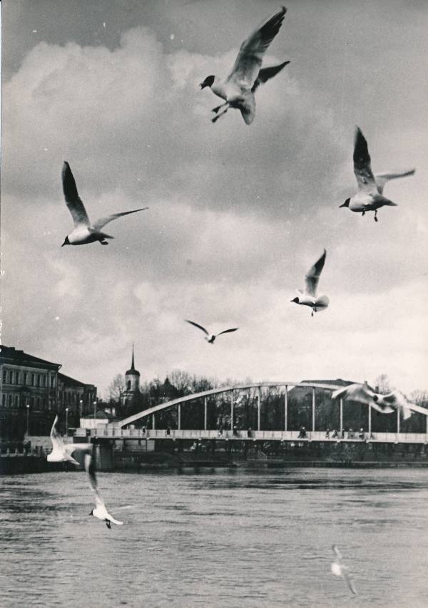 Linnavaade: Emajõgi, Kaarsild, taga Uspenski kiriku torn. Tartu, 1967.