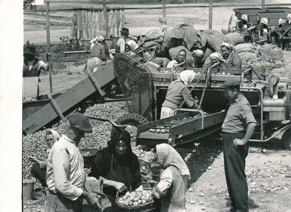 Vaated Ungarist. Foto on kingitud Tartu delegatsioonile, kes osales sõpruslinna Veszprémi vabastamise 30. aastapäeva pidustustel.
