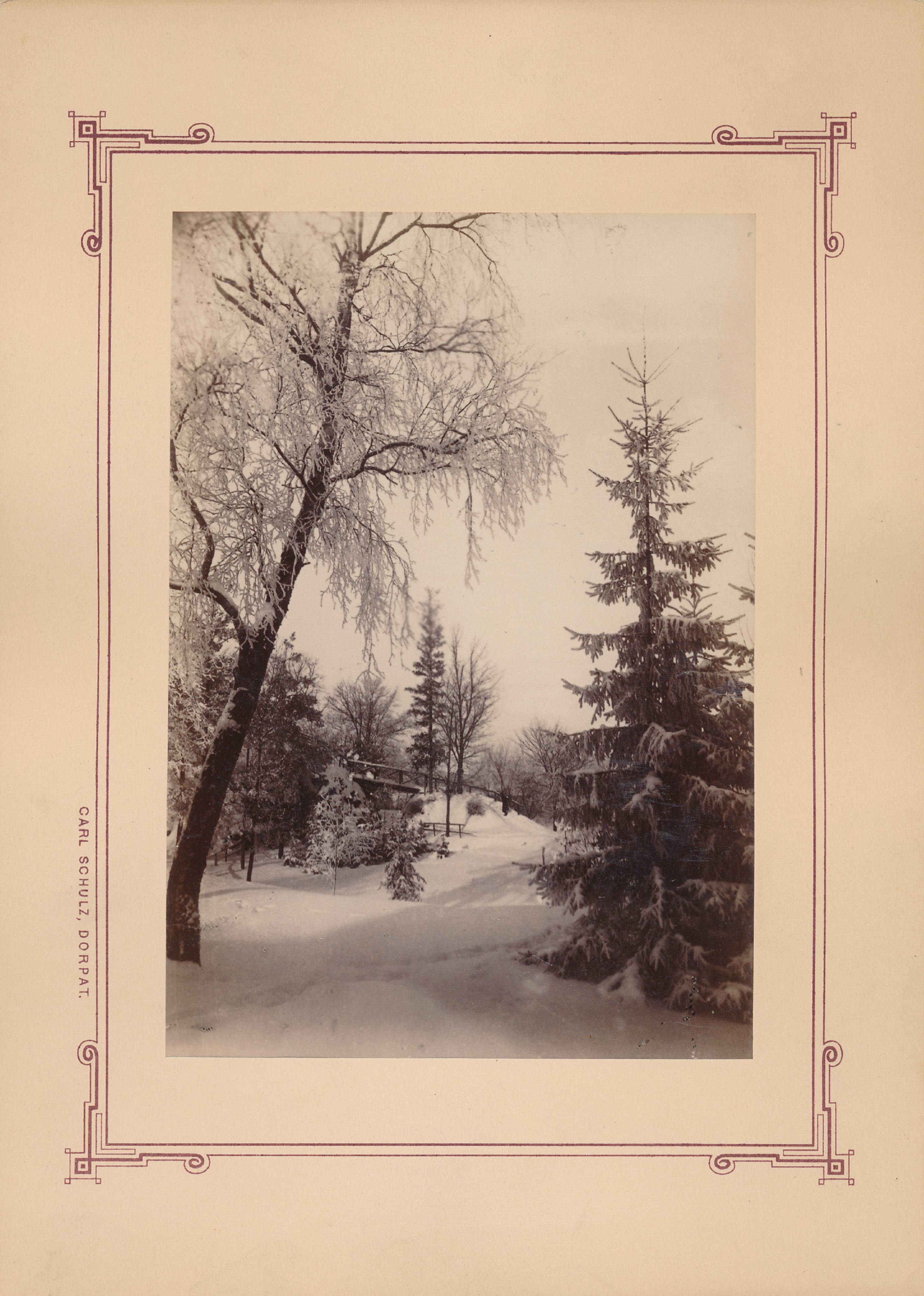 Tartu linnavaade. Talvine Musumägi Toomemäel. 20. sajandi algus.