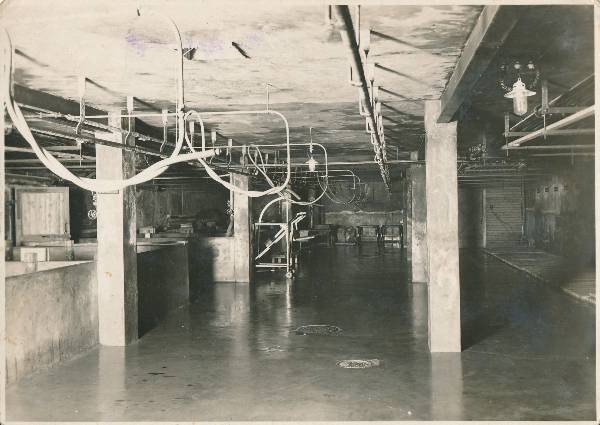 Tartu Lihakombinaat. Lihaekspordi lihasoolamisruum ja basseinid Võru tn. 1927.a.