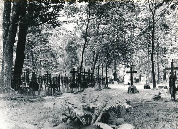 Tartu Ülikool. 350. aastapäeva juubelipidustused. Õppejõudude ja vilistlaste mälestuse austamine Raadi kalmistul. Vaade kalmistule. 15.09.1982.a.