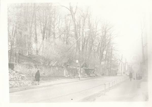 Karlova mõis Tartus. Park ja seda ümbritsev müür 1977a.