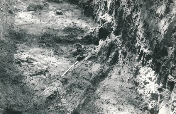 Arheoloogiline kaevamine Tartus 1979a. Kaevise keskosa.