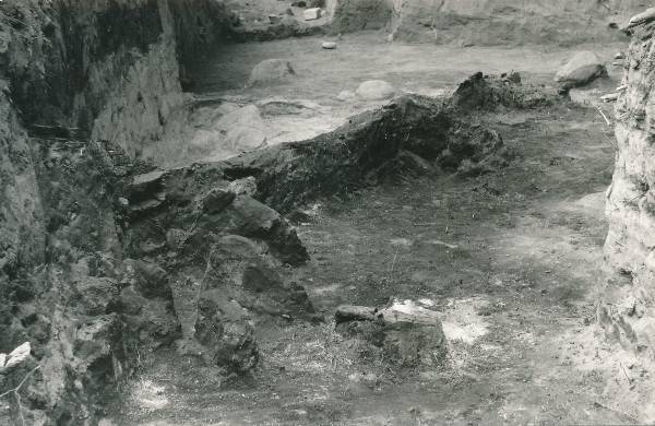 Arheoloogiline kaevamine Tartus 1979a. Kaevise keskosa, linnuse puitpiire.