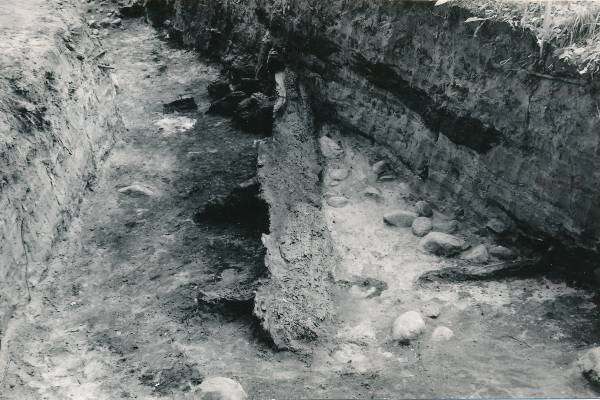 Arheoloogiline kaevamine Tartus 1979a. Kaevise keskosa, linnuse puitpiire.