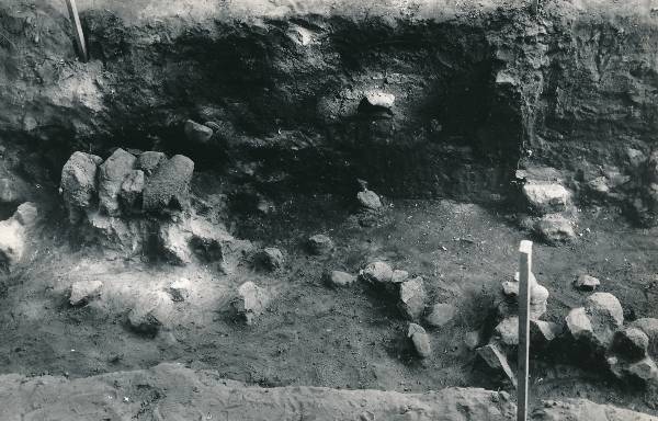 Arheoloogiline kaevamine Tartus 1979a. Kaevise idapoolne osa, vaade põhjaseinale.