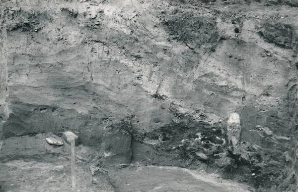 Arheoloogiline kaevamine Tartus 1979a. Kaevise keskosa, vaade kaevise kaguseinale.