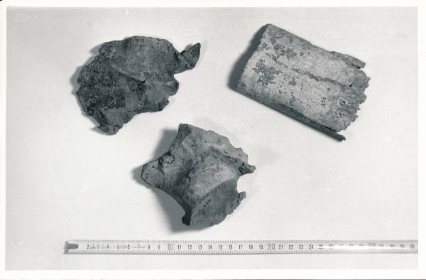 Arheoloogialeid. Leiud kaevamistelt Tartu Toomemäel. 1980.a.