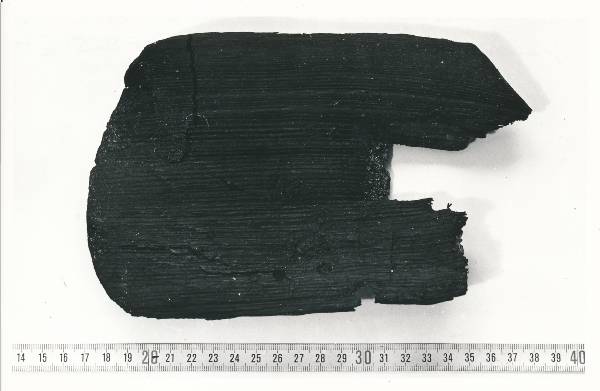 Arheoloogialeid. Leiud kaevamistelt Tartus, Raekoja plats 3 ja Ülikooli tn nurgal. 1982.a.