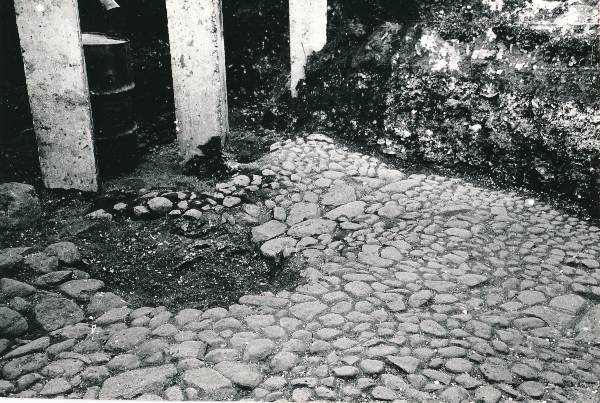 Arheoloogilised kaevamised Tartus 1981/82a. Botaanikaaia kaevand.