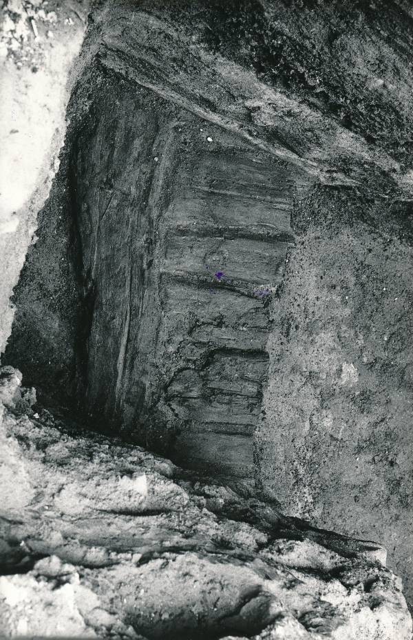 Arheoloogilised kaevamised Tartus 1981/82a. Botaanikaaia kaevand.