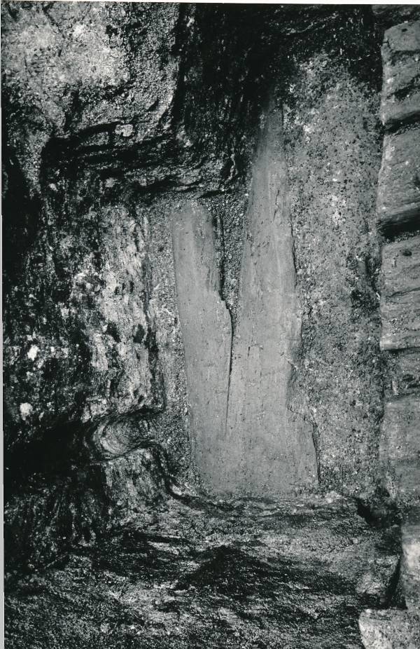 Arheoloogilised kaevamised Tartus 1981/82a. Botaanikaaia kaevand.