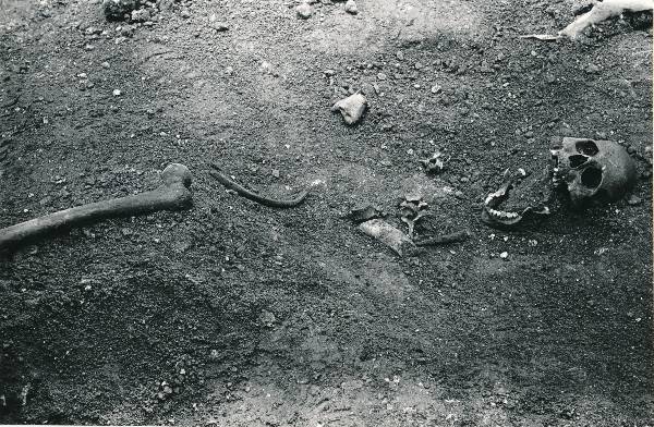 Arheoloogilised kaevamised Tartus 1981/82a. Luustik Botaanikaaia kaevandis.