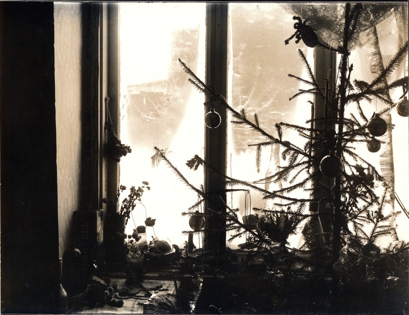 Kunstfoto. Heleda akna all on ehetes kuusk, Tartus Oa 1-1.