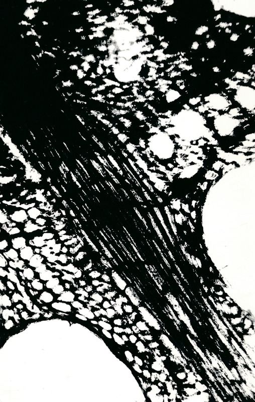 Arheoloogialeid. Tartu Jaani kiriku 1988. a arheoloogiliste uuringute käigus leitud Anna Elisabeth von Münnichi sarkofaagi restaureerimine.