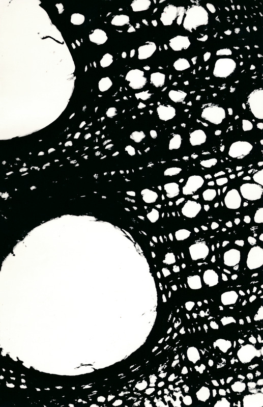 Arheoloogialeid. Tartu Jaani kiriku 1988. a arheoloogiliste uuringute käigus leitud Anna Elisabeth von Münnichi sarkofaagi restaureerimine.