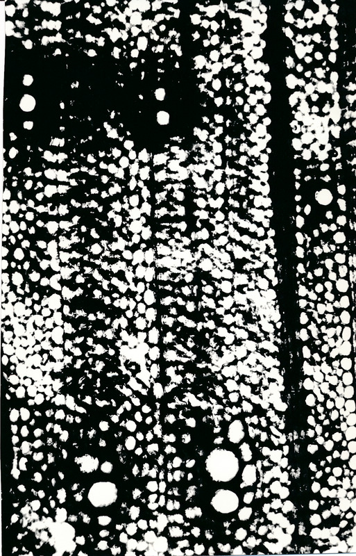 Arheoloogialeid. Tartu Jaani kiriku 1988. a arheoloogiliste uuringute käigus leitud Anna Elisabeth von Münnichi sarkofaagi restaureerimine.