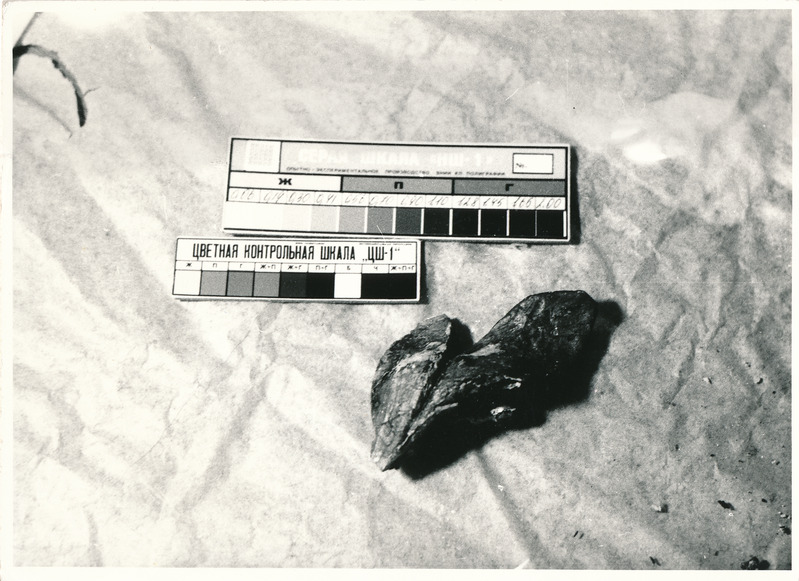 Arheoloogialeid. Tartu Jaani kiriku 1988. a arheoloogiliste uuringute käigus leitud Anna Elisabeth von Münnichi sarkofaagi restaureerimine.