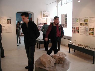 Digifoto. Viljandi muuseum, püsinäitus, 21.02.2005. Foto Tiia Reisner.
