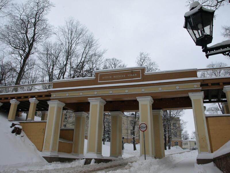 Inglisild, vaade Toomemäe suunas. Tartu, 2008.