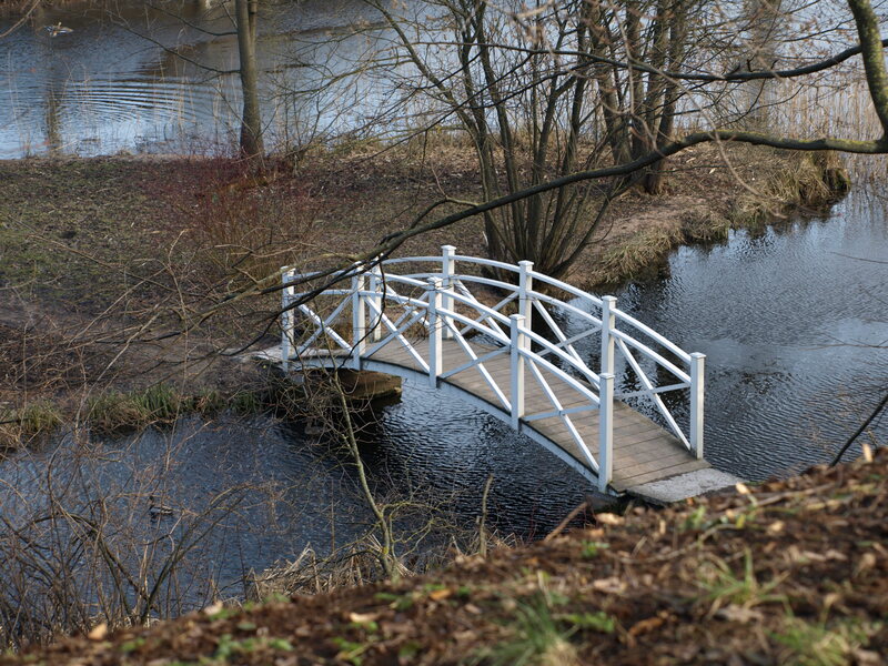 Botaanikaaia tiik ja sillake. Tartu, 2008.