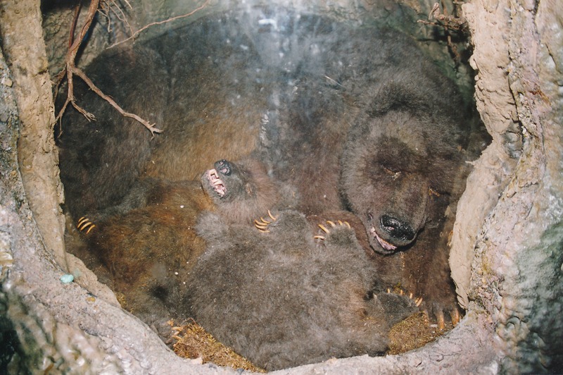 Tartu Linnamuuseumi töötajate õppereis Helsingisse. November 2002