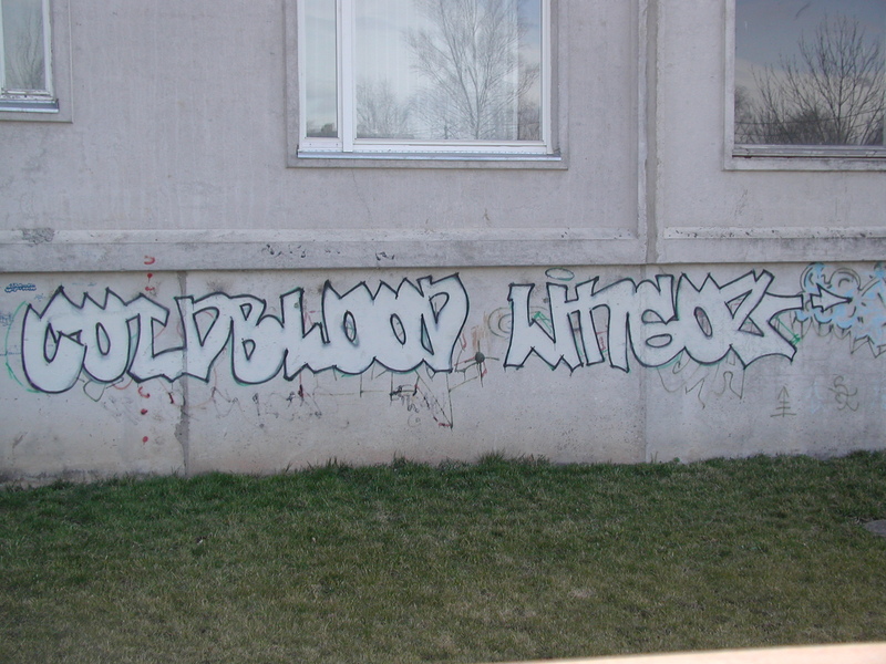 Digifoto. Grafiti, kiri COLDBLOOD LINGOZ. Tartu, 2004.