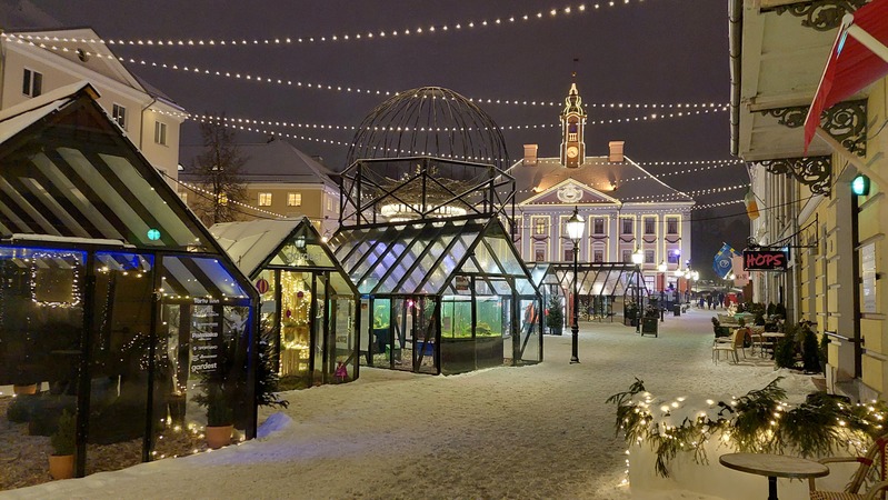 Talvine vaade. Tartu, 2022.