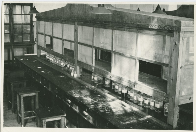 TTÜ anorgaanilise keemia labor, 1939.a.