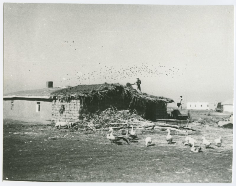 TPI üliõpilased Kasahstani NSV-s Saralatis ehitustöödel, 1957.a.