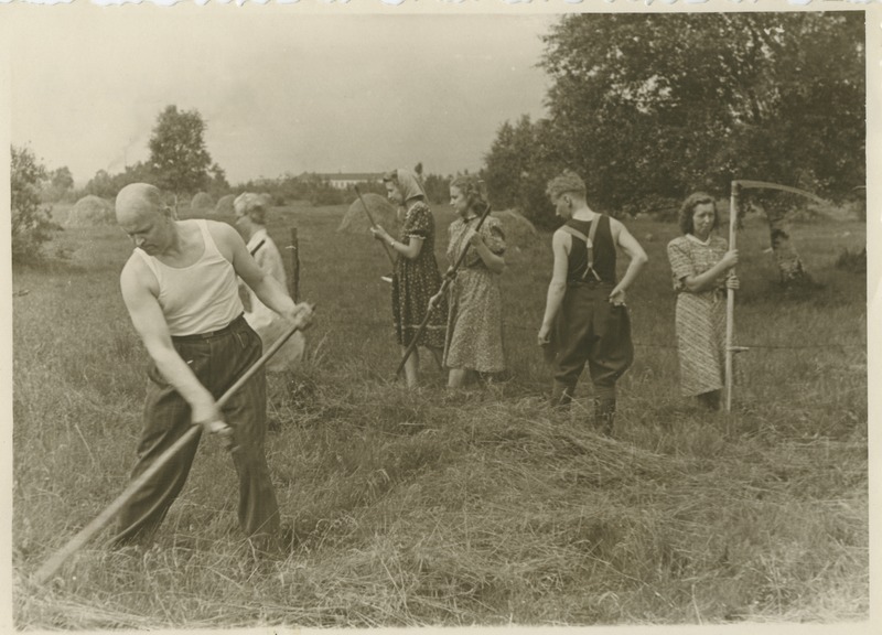 TPI keemiateaduskonna dotsent Agu Aarna keemikutega tööstuspraktikal Kiviõlis, vabal ajal pöllutööl, 1949.a.