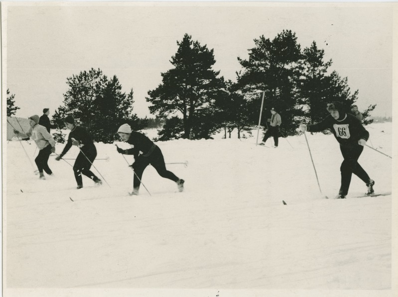 TPI suusavõistlused Mustamäel, 1965.-1966.a.