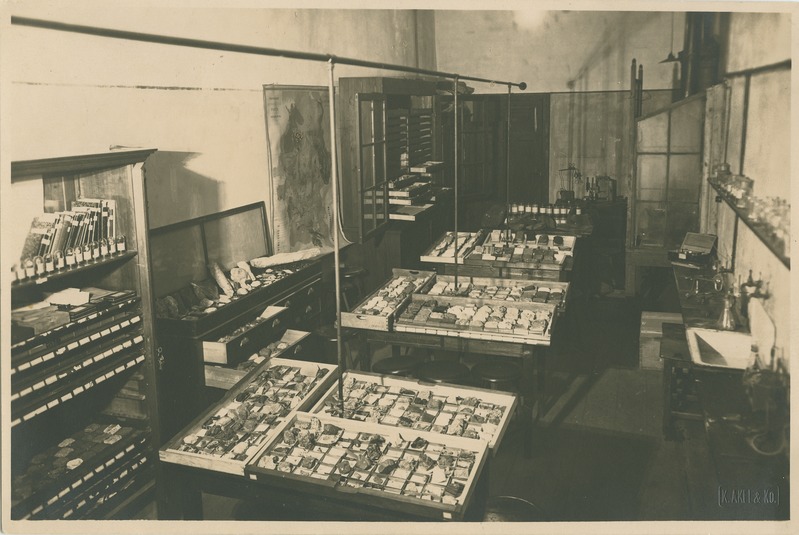 Tallinna Tehnikumi mineraloogia ja geoloogia kabinet Tolli 8, 1928.a.