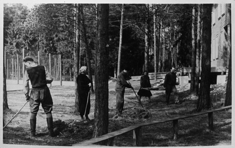 TPI töötajad laupäevakul peahoone juures olevat parki koristamas, 1950. aastad