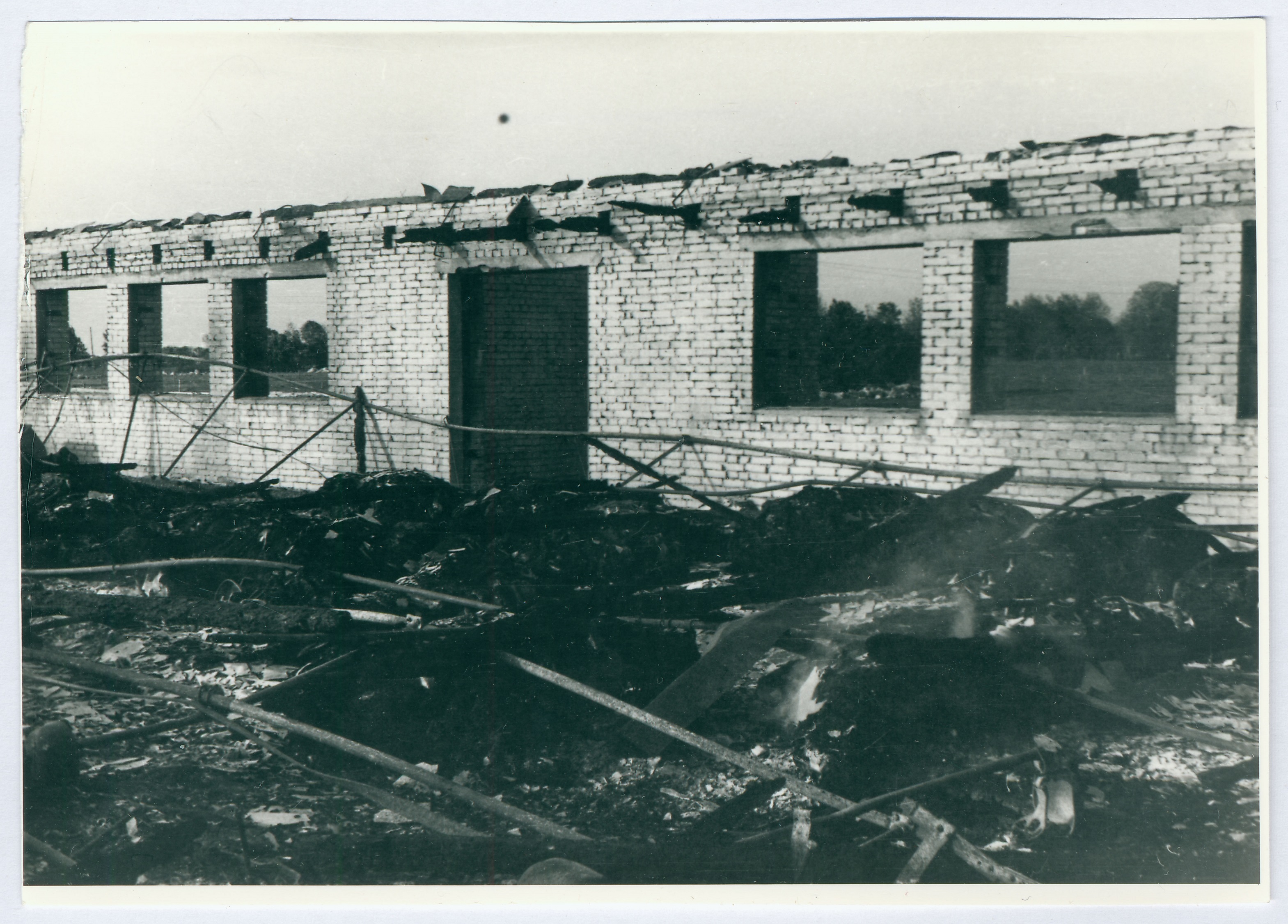 Harju rajooni Tasuja kolhoosi loomalaut pärast tulekahju