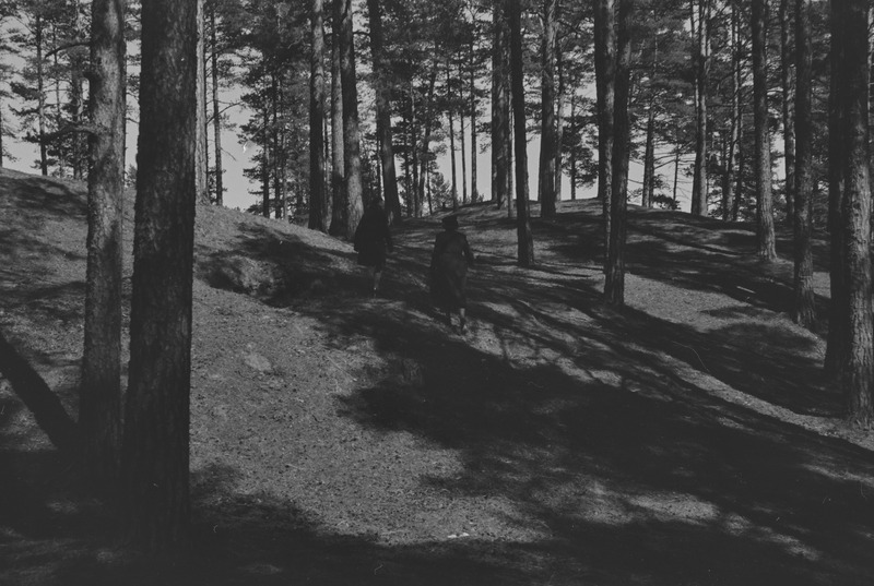 Aleksandri sünnipäeval 29.12.1938