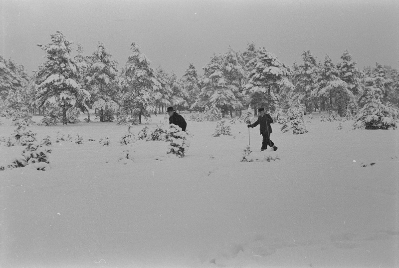 Juhani korteris ja vanaema valge kasukaga 1939 jaanuaris