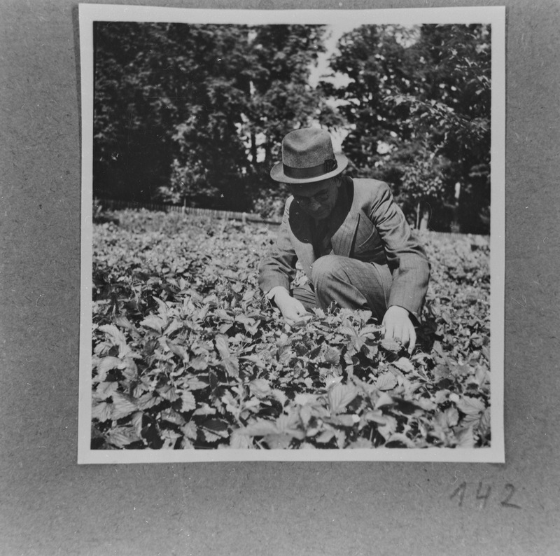Ahjal juulis 1938
