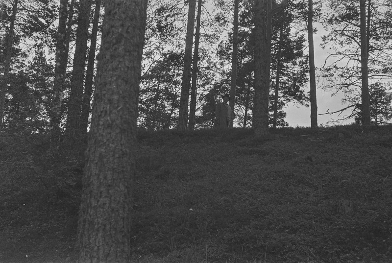 Friedebert Tuglas Soomes, 1938
