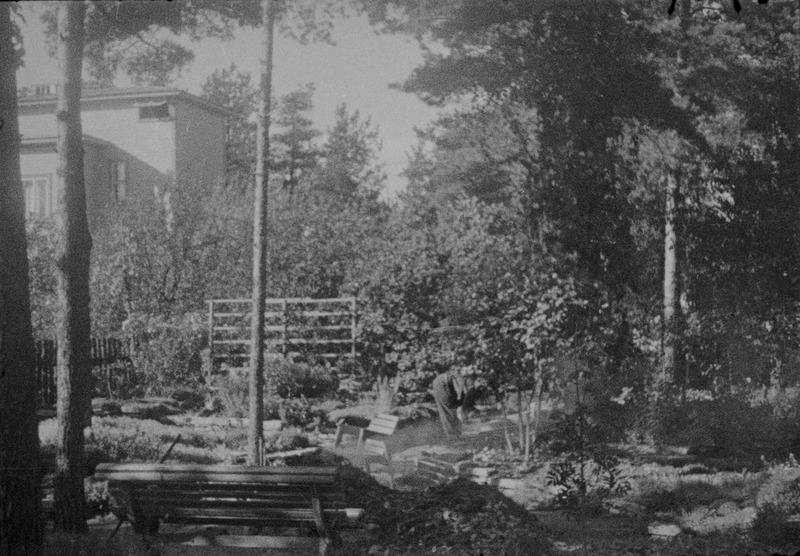 Tuglaste aed, Elo Tuglas aias