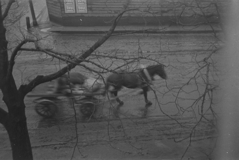 Juhani korteris ja vanaema valge kasukaga 1939 jaanuaris