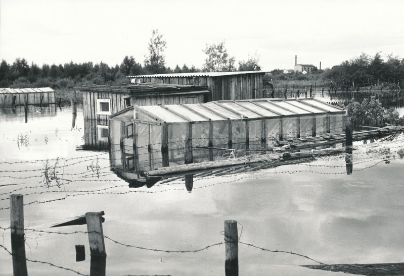 Foto. Vaade Võru linnale kõrgvee ajal 1987.a. augustis lasketiiru juures.