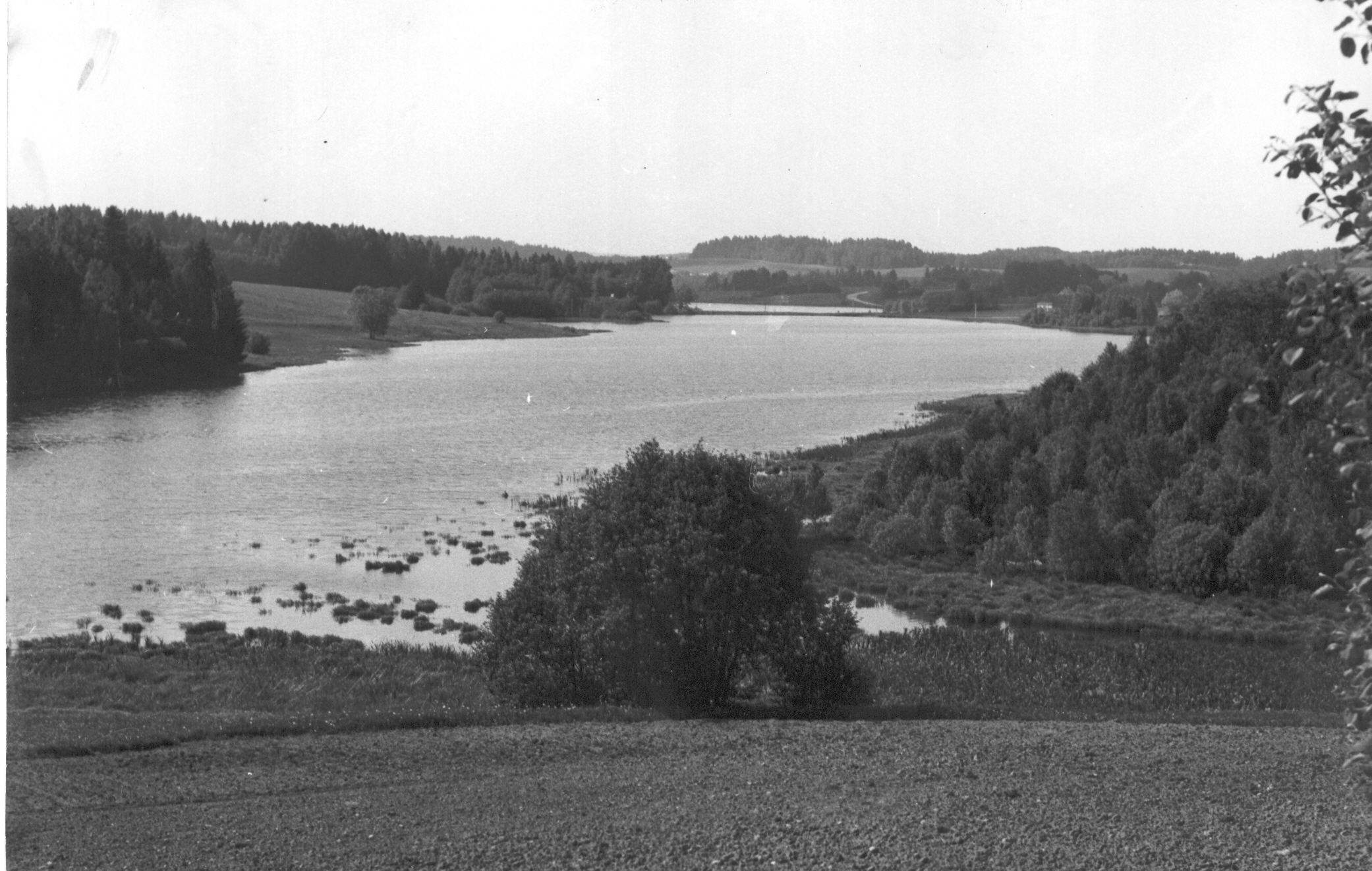 Foto. Kuldre kolhoosi paisjärv 1983.a. Hillar Uusi foto.