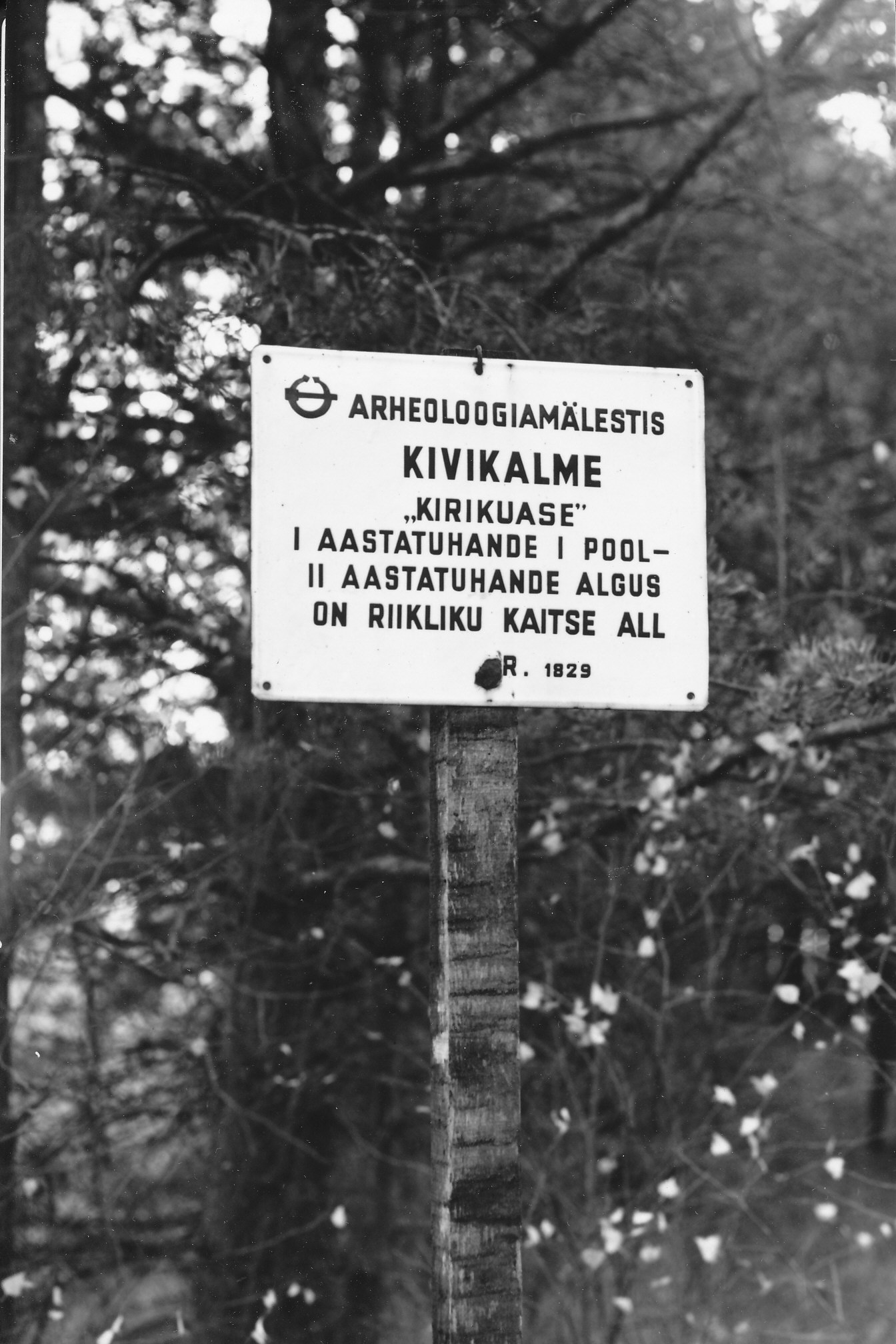 Foto.Kaitsetahvel kivikalme nr. 1829 asukohas  Antsla külanõukogus Villa külas Kivisilla talu lähedal 1975.a. oktoobris.