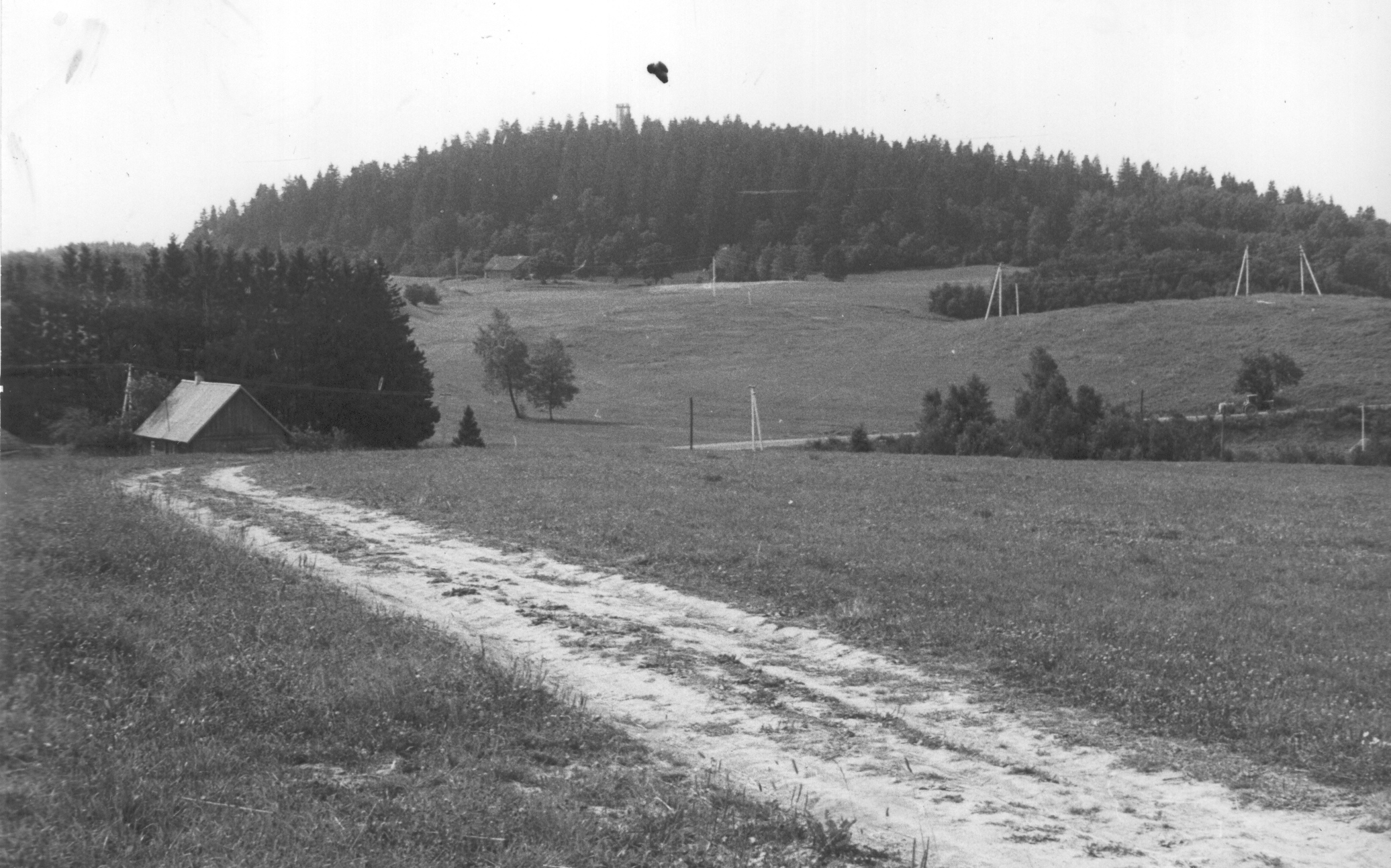 Foto. Vaade Suurele Munamäele 1982.a. Foto Hillar Uusi.