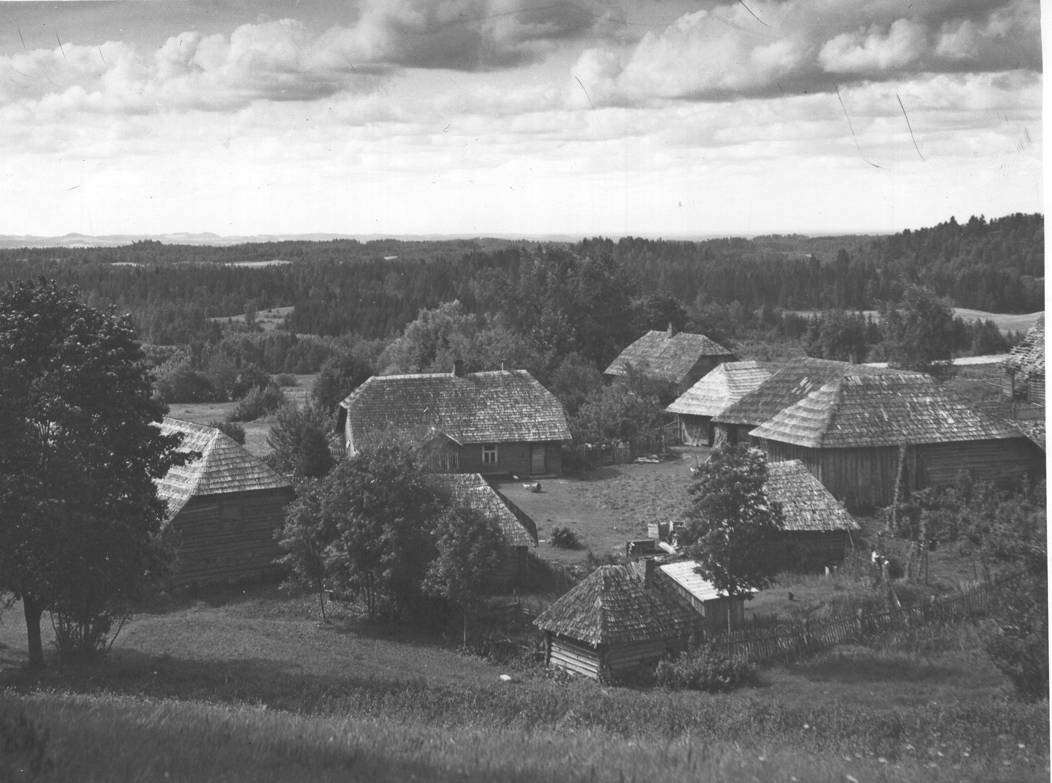 Foto. Vaade taluõuele ja hoonetele Rõuge Kõomäe külas Plaani lähedal 1953.a.