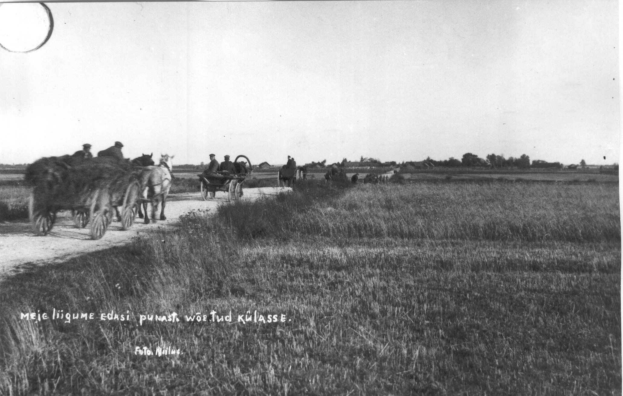 Foto. Voor teel 1919.a. Jaan Niiluse foto.